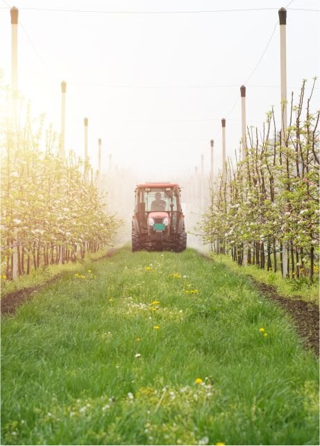 Attività del percorso Operatore Agricolo