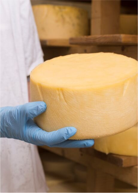 Attività del percorso Operatore Lattiero Caseario