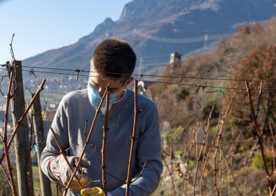 Attività e laboratori del percorso Operatore Agricolo