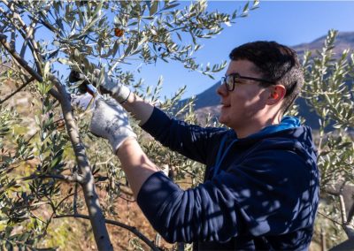 Attività e laboratori del percorso Operatore Agricolo