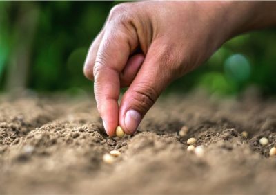 Attività e laboratori del percorso Operatore Agricolo