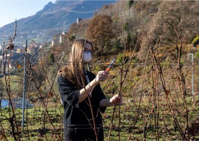 Attività e laboratori del percorso Operatore Agricolo