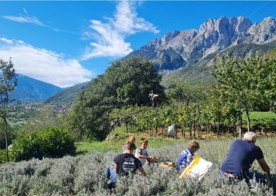 Attività nel laboratorio agricolo