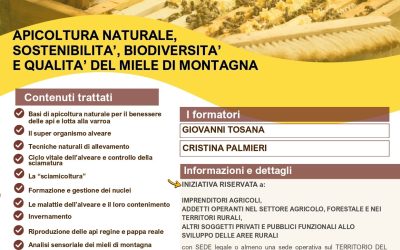 CORSO DI APICOLTURA NATURALE