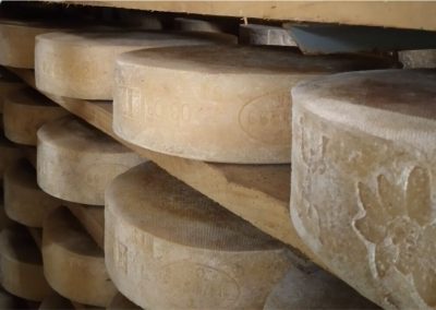 Attività e laboratori del percorso Operatore Lattiero Caseario