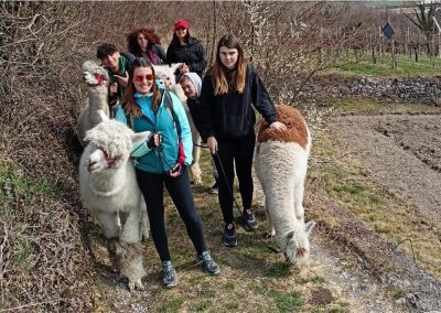 Attività e laboratori del percorso Operatore Turistico Sportivo